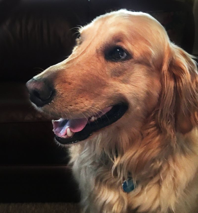 portrait of Gustav Ossowski